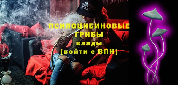 мяу мяу мука Корсаков