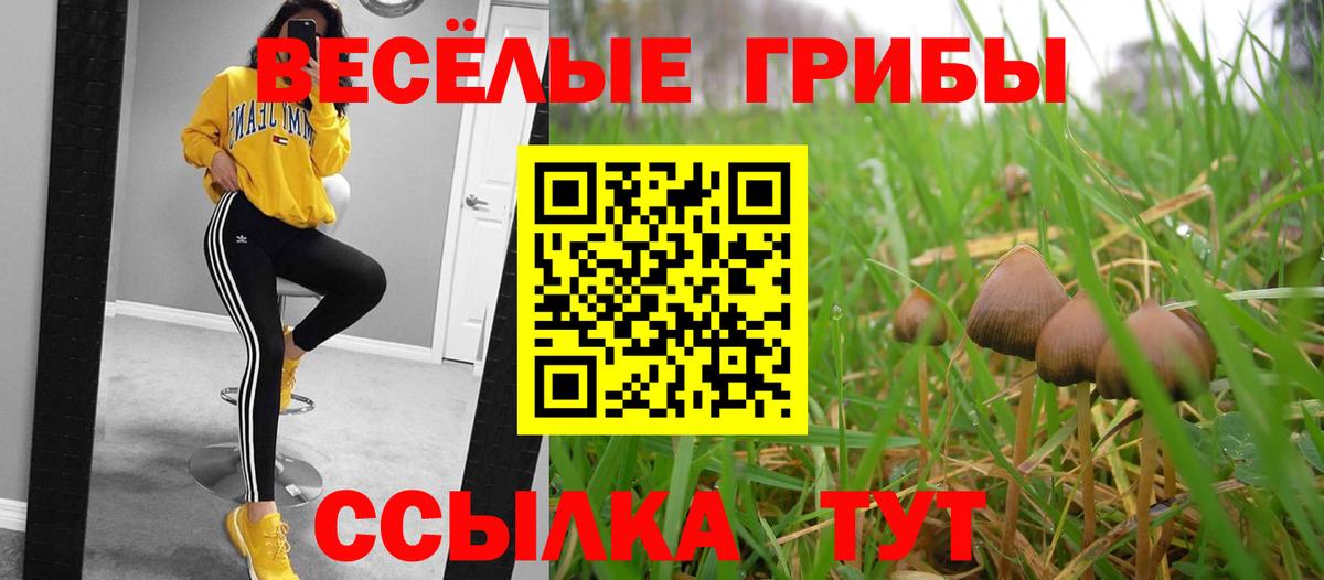 Галлюциногенные грибы GOLDEN TEACHER  Псилоцибиновые грибы Cubensis  Сочи  Вход с VPN 