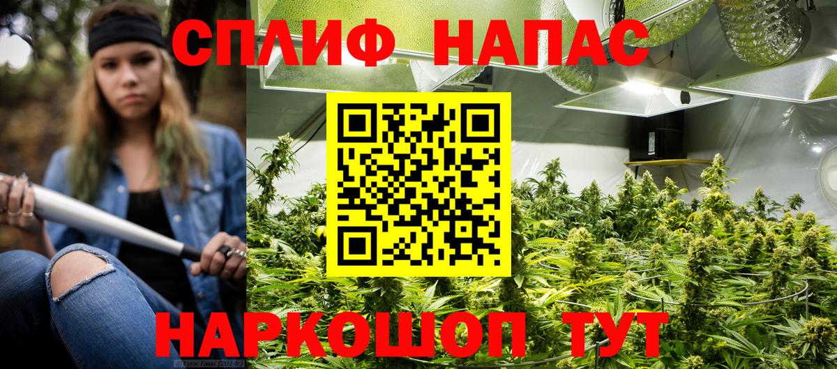 Шишки марихуана планчик  Вход с VPN  Сочи  Бошки марихуана план 